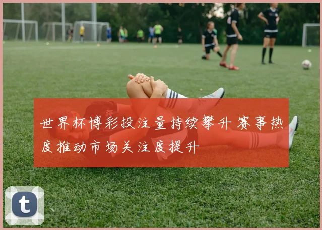 世界杯博彩投注量持续攀升 赛事热度推动市场关注度提升