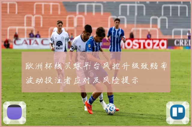 欧洲杯线买球平台风控升级致赔率波动投注者应对及风险提示